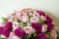 DSC_000_3.jpg