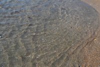 DSC_1729.JPG