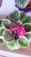 20150910_151417.jpg
