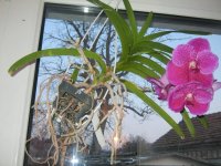 IMG_1086.JPG