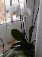 2015-02-13 12.42.40.jpg