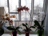 2015-01-03 13.39.12.jpg