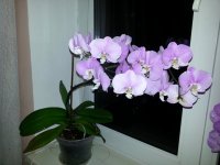 20151031_202841.jpg