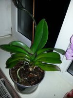 20151031_203054.jpg