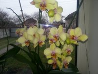 20150328_131618.jpg