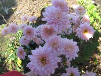IMG_5493.JPG