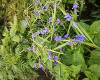 Photo-0102.jpg