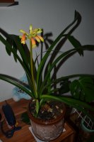 DSC_0916.JPG