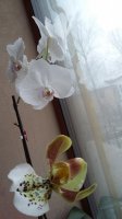 20151227_102451.jpg