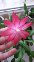 20160101_134041.jpg
