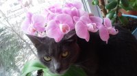 20160120_123914.jpg