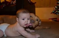 friendship-between-children-and-animals-5.jpg