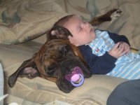 friendship-between-children-and-animals-19.jpg