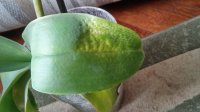 20150221_120954_HDR.jpg