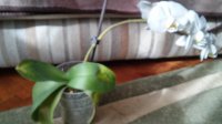 20150221_120945_HDR.jpg