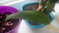 20150223131301.jpg