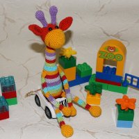 IMG_20160128_014200.jpg