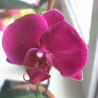 IMG_20160212_123208.jpg