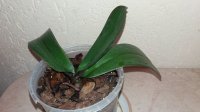 20160212_131004.jpg