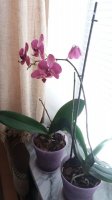 20160212_131343.jpg
