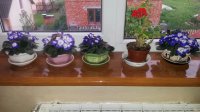 20150521_203134.jpg