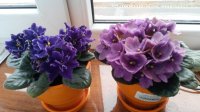 20150625_210132.jpg