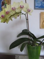 IMG_0020.JPG