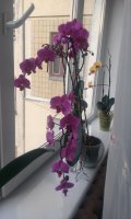 20160228_165205.jpg
