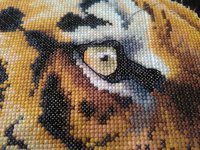 IMG_20160307_165431.jpg