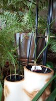 20160317_140507.jpg
