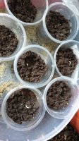 20160320_123701.jpg