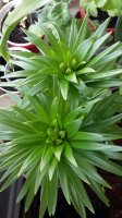20160320_123513.jpg