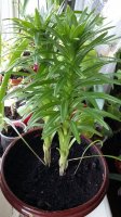 20160320_123546.jpg