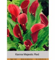 Majestic_Red-280x300.jpg