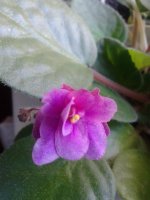 20160330_101120.jpg