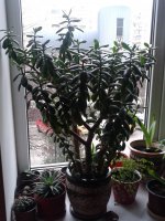 20160326_162515.jpg