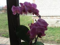IMG_5583.JPG