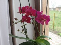 IMG_5584.JPG
