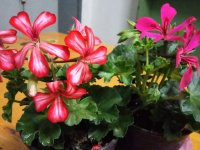20160412_172943.jpg