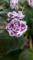 20160506_122345.jpg
