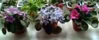 P_20160507_113423_NT_1.jpg