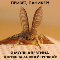 11045305_932696180108527_2185622567397723752_n.png
