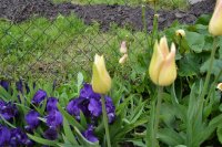 DSC_1175.JPG