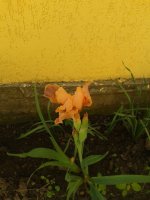 20160524_082136.jpg