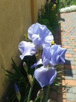 20160529_122126.jpg