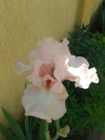 20160529_122146.jpg