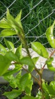 20160603_164702_HDR.jpg