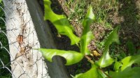 20160603_164719_HDR.jpg