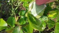 20160603_164837_HDR.jpg