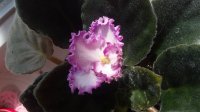 20160609_101210.jpg